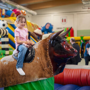 BYK RODEO